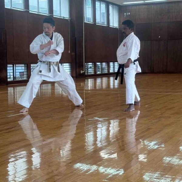 image3 (1)