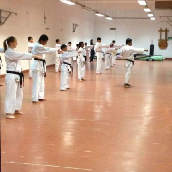 karateibska.com Training program (10)