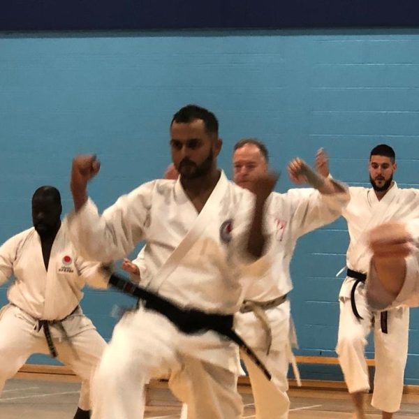 karateibska.com UK Class (12)